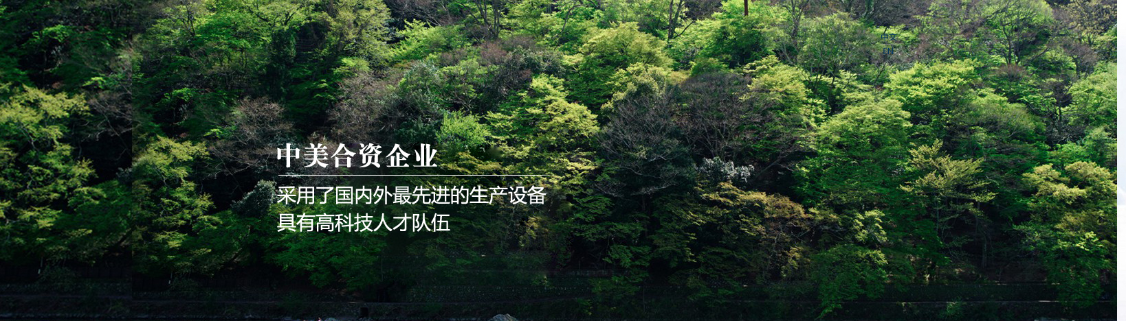 施工保障 · 科技養(yǎng)護(hù)